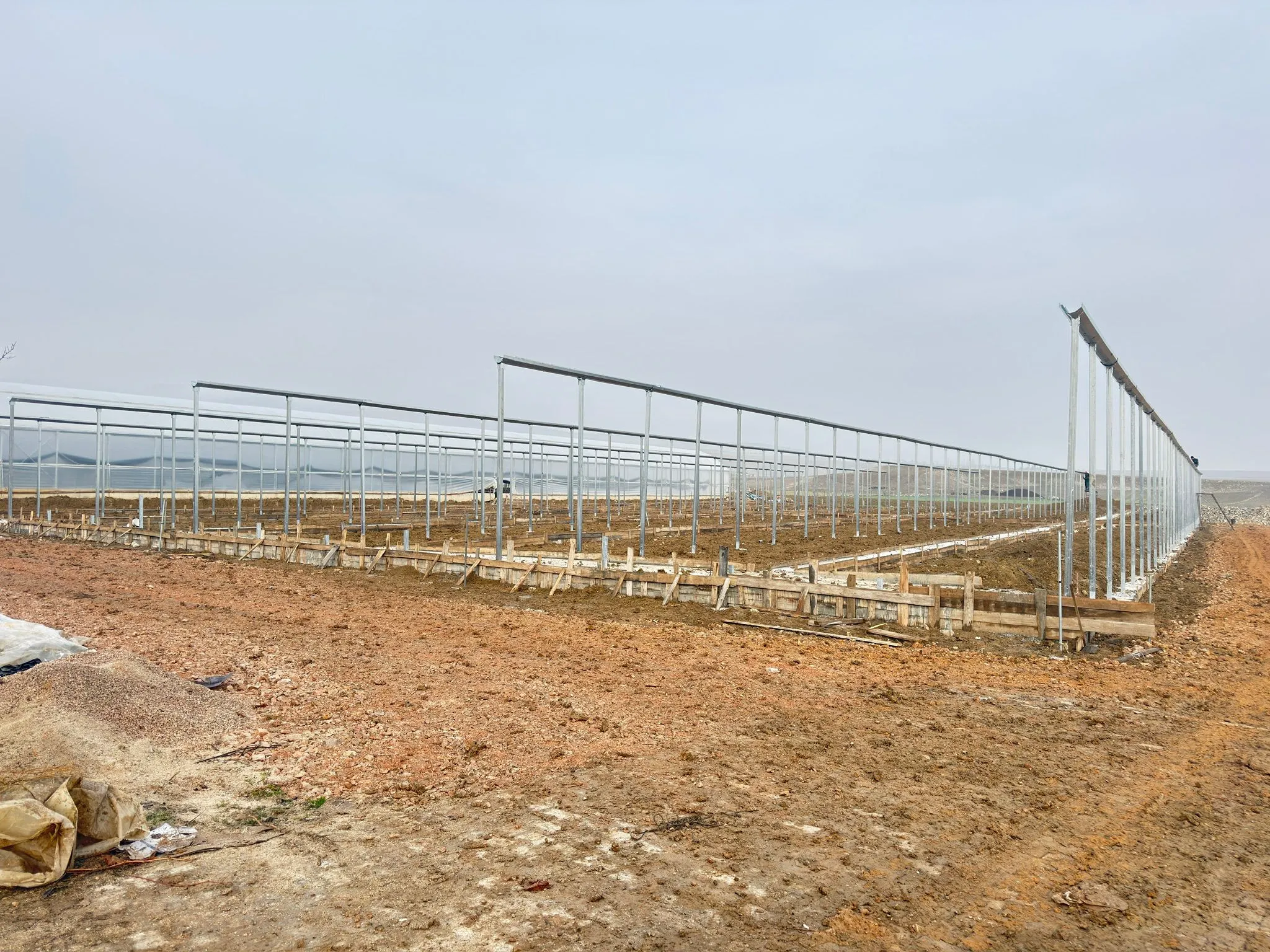 Ankara Yenikent Fide Projemiz