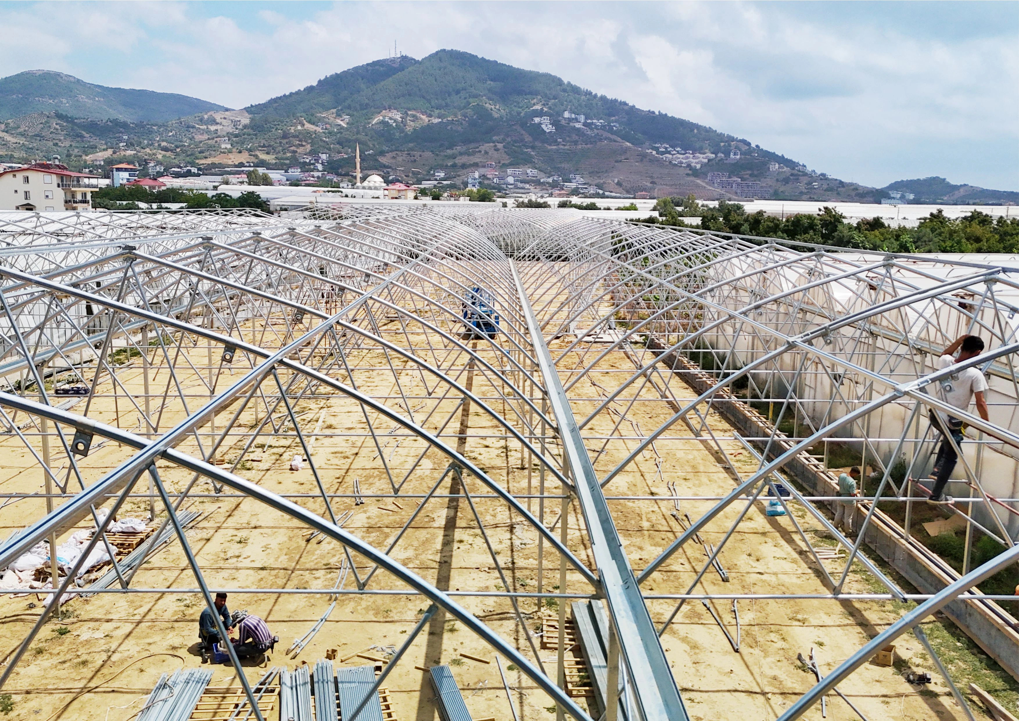 Yaprak Fide – Kapasite Artırımı ve Modern Fidelik Çözümleri